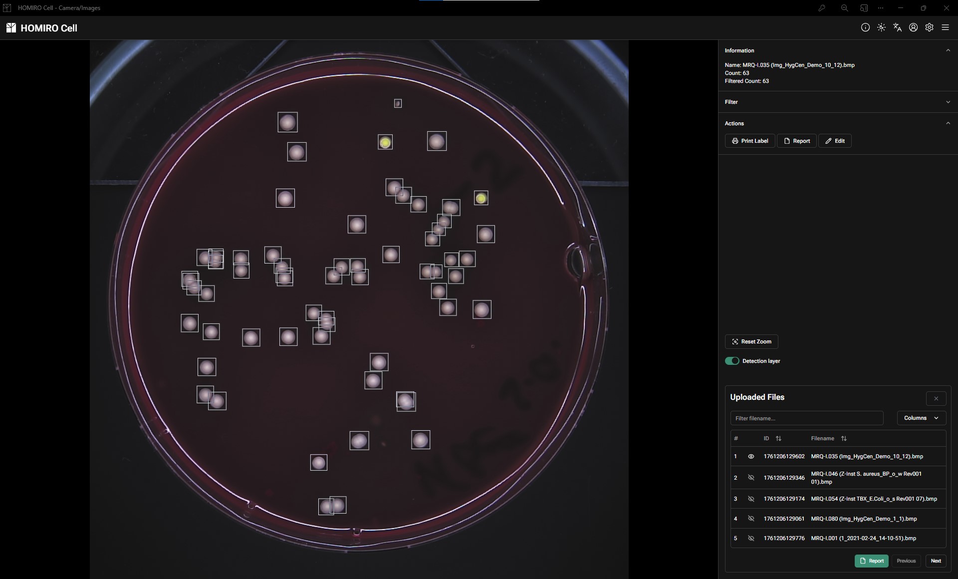 AI-assisted colony counting interface showing automated detection, filtering controls, and batch processing